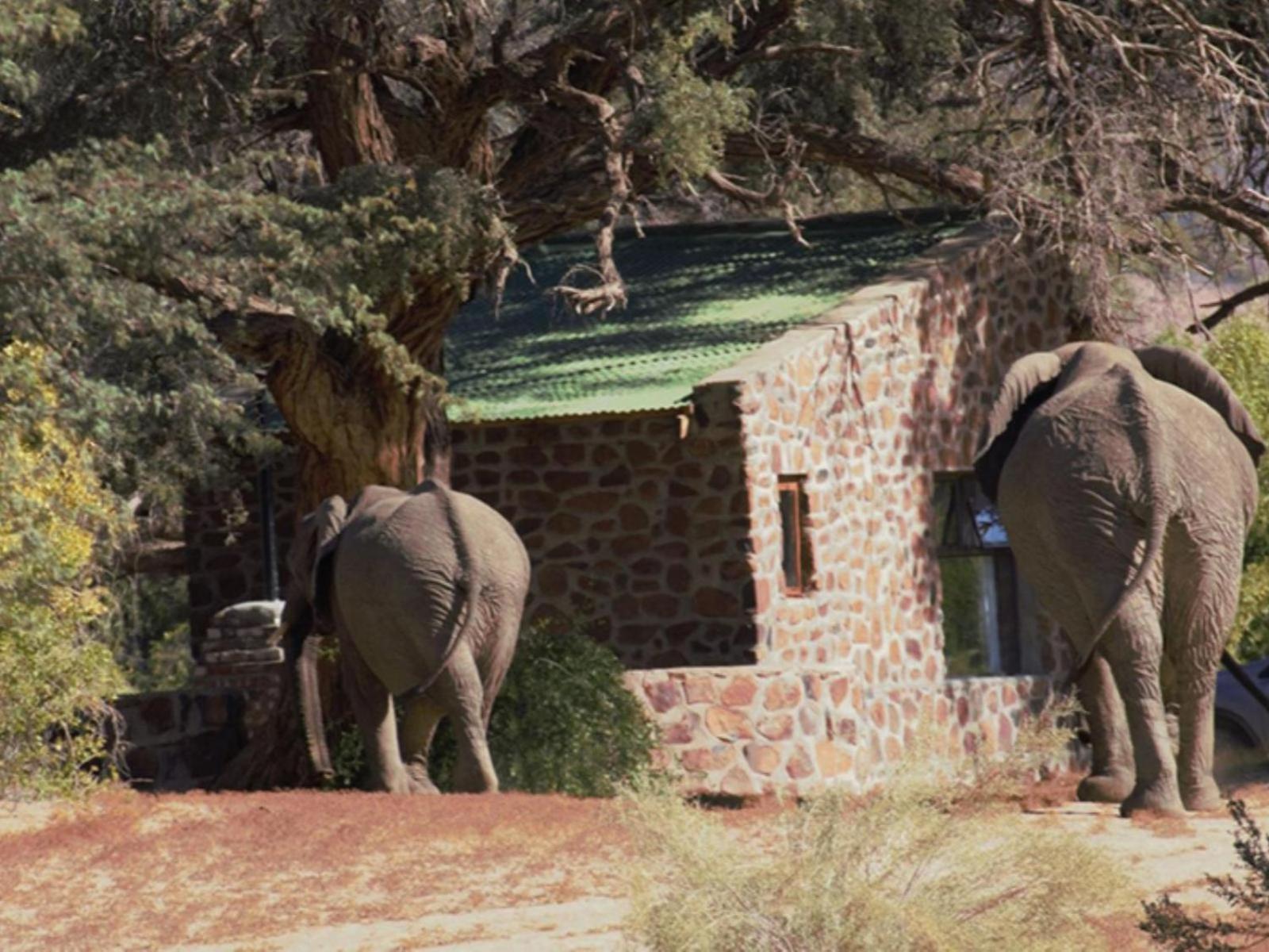 Brandberg White Lady Lodge Uis Exteriör bild