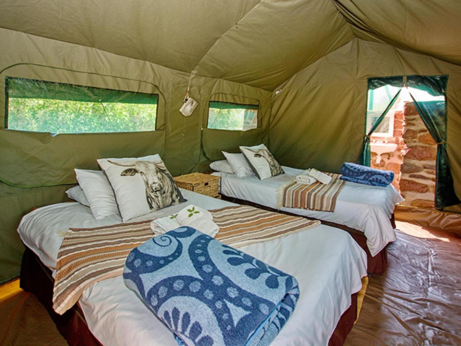 Brandberg White Lady Lodge Uis Exteriör bild