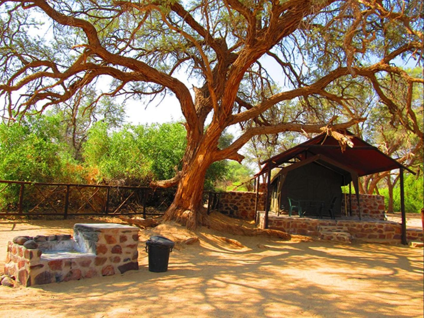 Brandberg White Lady Lodge Uis Exteriör bild