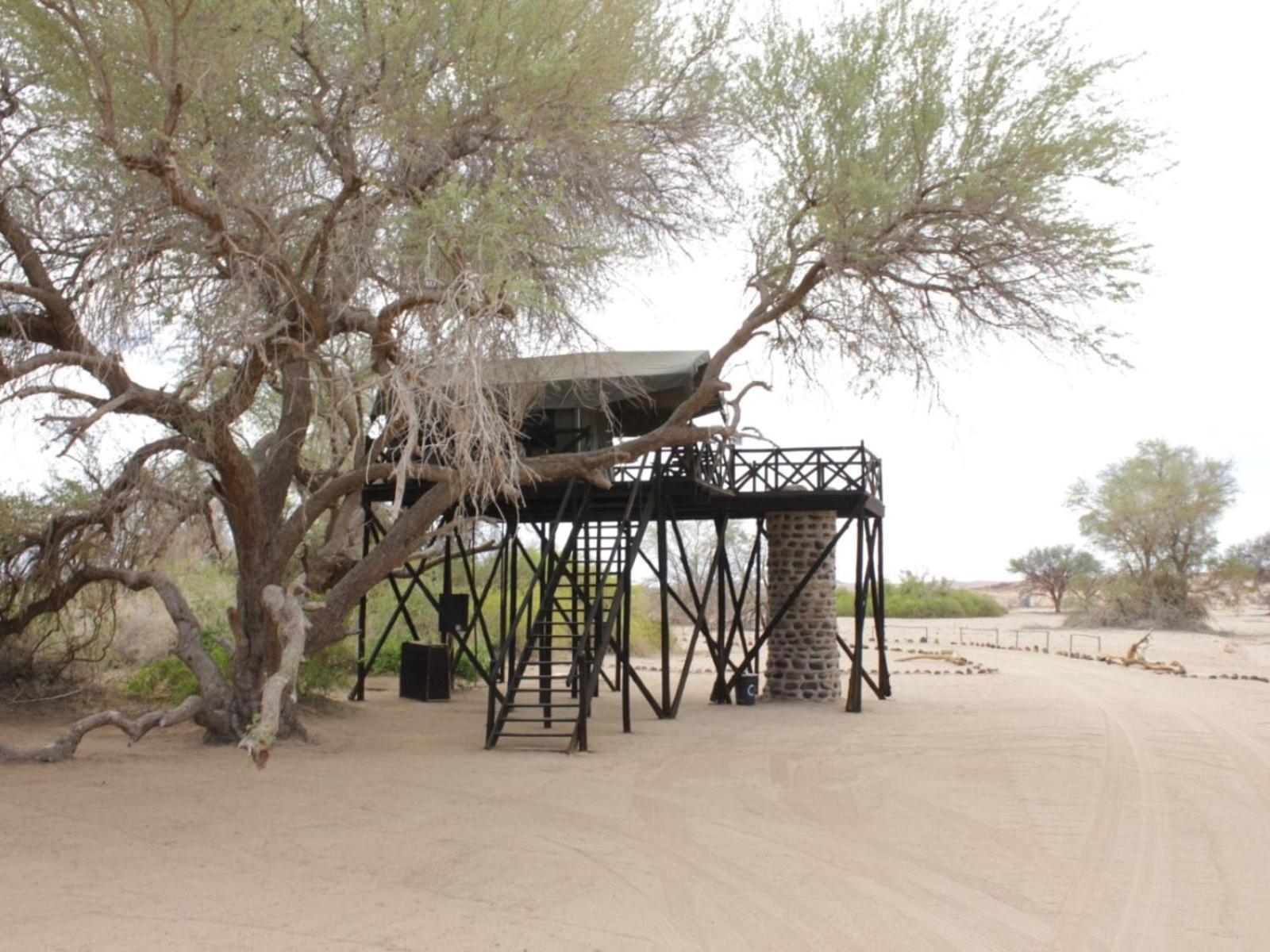 Brandberg White Lady Lodge Uis Exteriör bild